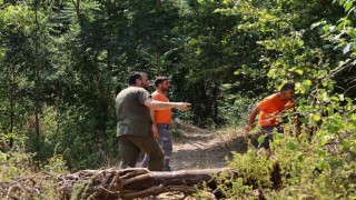 Alevlerin sardığı orman yangınlarında can dostları için harekete geçtiler