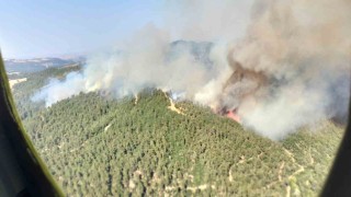 Altıeylülde orman yangını