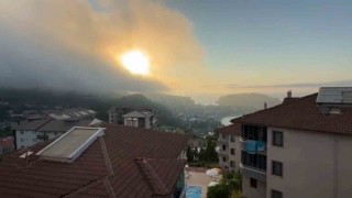 Aniden ortaya çıktı, korkulu anlara neden oldu