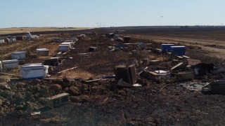 Anız yangını 400 arı kovanını kül etti