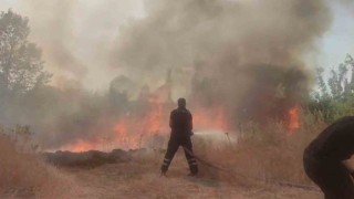 Anız yangını ağaçlık alana sıçradı