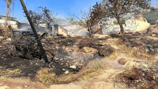Ankarada ağaçlık alanda çıkan yangın gecekondulara sıçradı