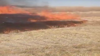 Ankarada anız yangını