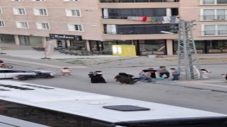 Ankarada motosiklet otomobile çarptı: 1 yaralı
