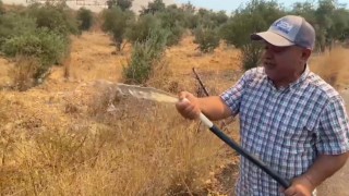 Antalyada alevlerin yaklaştığı mahallede vatandaşlar hortumlarla nöbette