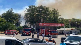 Antalyada ormanlık alanda yangın paniği