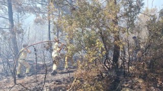 Antalyadaki orman yangınında 2,8 hektarlık alan zarar gördü