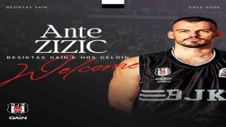 Ante Zizic, Beşiktaşta