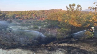 Araç yangınıyla başlayan orman yangını kısa sürede söndürüldü