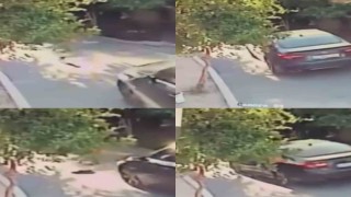 Aracın üzerinden geçtiği köpek telef oldu