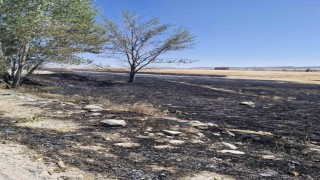 Arazide çıkan yangına çiftçi ve itfaiye ekipleri müdahale etti