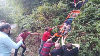 Arazide yaralanarak mahsur kalan kadın, AFAD tarafından kurtarıldı