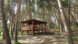 Ardahanda ormanlara giriş yasaklandı