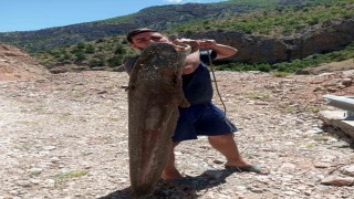 Ardanuçta baraj gölünde dev yayın balıkları yakalandı