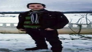Arı sokması can aldı