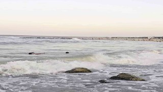 Arnavutköyde deniz yasağına rağmen boğulma tehlikesi geçirdiler