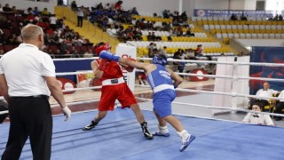 Arpalıda boks kursu açılacak