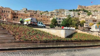 Artuklu ve Cumhuriyet Meydanı lavanta ile renklendi