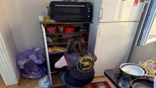 Artvin merkezli 5 ilde nitelikli dolandırıcılık operasyonu: 7 tutuklama