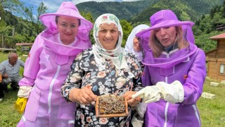 Artvinde arıcılığı doğa turizmiyle birleştiren apiturizm faaliyetleri başladı