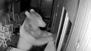 Artvinde orman işçilerinin kaldığı kulübeye ayı girdi, o anlar güvenlik kamerasına yansıdı