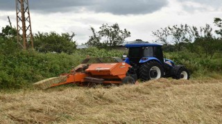 Atakumda tarlalar altın rengine büründü