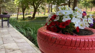 Atık malzemeler renkli çiçekliğe dönüştü