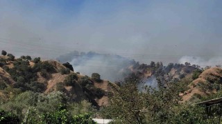 Aydın Valisi Canbolat: Ekipler çevreyi sardı, kısa sürede kontrol altına alacağız