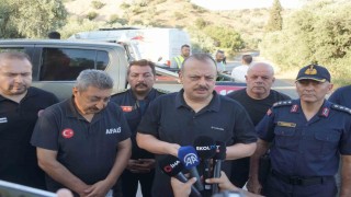 Aydın Valisi Canbolat: Yangın kontrol altına alındı