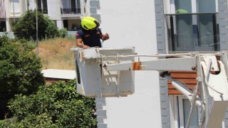 Aydında balkonda sıkışan kumruyu vatandaşın dikkati kurtardı