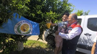 Aydında üreticilere 12 bin Akdeniz meyve sineği tuzağı teslim edildi