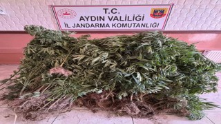 Aydında uyuşturucu tacirlerine operasyon