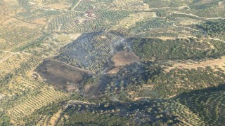 Aydındaki yangın kontrol altına alındı