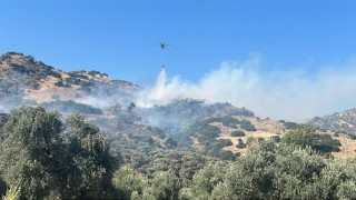 Aydındaki yangında 2 kişi gözaltına alındı