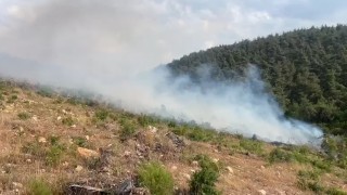 Aynı bölgede 15 günde 2nci orman yangını