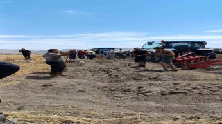 Aynı ilçede bir ekili arazi daha yandı