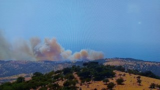 Ayvacıkta başlayan orman yanınına müdahale ediliyor