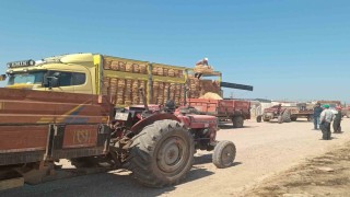 Ayvacıkta yangından etkilenen Tuzla köyünde üreticilere destek