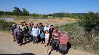 Bafrada su kanalı taştı, mahsuller sular altında: Üreticiler tepkili