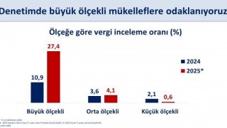 Bakan Şimşekten vergi denetimi paylaşımı