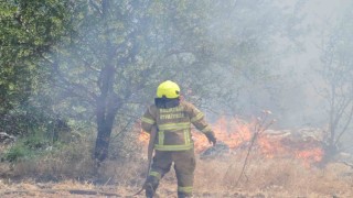 Balıkesir İtfaiyesi 12 günde 971 yangına müdahale etti