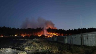 Balıkesir Savaştepede çıkan orman yangınına müdahale sürüyor