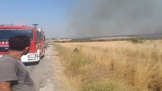 Balıkesirde mera yangını