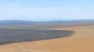 Balıkesirde tarla yangını sonrası üzücü manzara