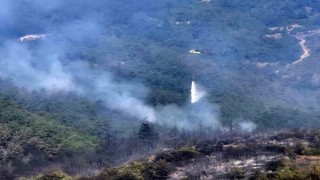 Balıkesirdeki orman yangınına havadan müdahale tekrar başladı