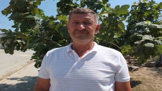 Balıkesirli çiftçi oturduğu caddeyi meyve ağaçlarıyla yeşillendirdi