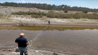 Balıklar ölmesin diye zamanla yarıştılar