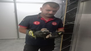 Balkon korkuluğuna sıkışan atmaca itfaiye ekiplerince kurtarıldı
