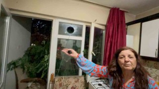 Balkonda kahve içerken üzerine ağaç devrildi