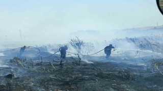 Bandırma-Bursa karayolunda arazi yangını kontrol altına alındı